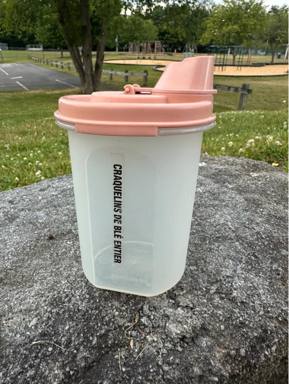 Vintage Tupperware Shake And Pour 15 Oz Pink Lid